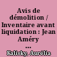 Avis de démolition / Inventaire avant liquidation : Jean Améry en dialogue avec Imre Kertész