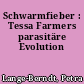 Schwarmfieber : Tessa Farmers parasitäre Evolution