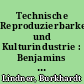 Technische Reproduzierbarkeit und Kulturindustrie : Benjamins "Positives Barbarentum" im Kontext