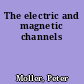The electric and magnetic channels