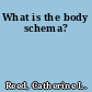 What is the body schema?