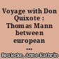 Voyage with Don Quixote : Thomas Mann between european culture and american politics