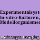 Experimentalsysteme, In-vitro-Kulturen, Modellorganismen
