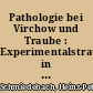 Pathologie bei Virchow und Traube : Experimentalstrategien in unterschiedlichem Kontext