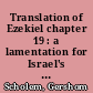 Translation of Ezekiel chapter 19 : a lamentation for Israel's last princes