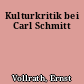 Kulturkritik bei Carl Schmitt