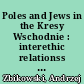 Poles and Jews in the Kresy Wschodnie : interethic relationss in the borderlands
