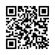 QR Code (код быстрого отклика)