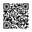 QR Code (код быстрого отклика)