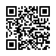 QR Code (код быстрого отклика)