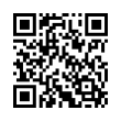 QR Code (код быстрого отклика)