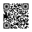 Código QR (código de barras bidimensional)