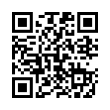 QR Code (код быстрого отклика)