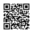 QR Code (код быстрого отклика)