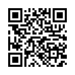 QR Code (код быстрого отклика)