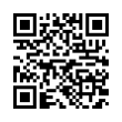 QR Code (код быстрого отклика)