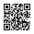 Código QR (código de barras bidimensional)