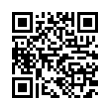 QR Code (код быстрого отклика)