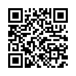 QR Code (код быстрого отклика)