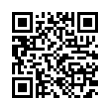 QR Code (код быстрого отклика)