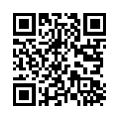 QR Code (код быстрого отклика)