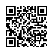 QR Code (код быстрого отклика)