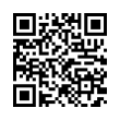 QR Code (код быстрого отклика)