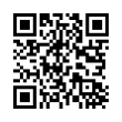 QR Code (код быстрого отклика)