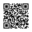 QR Code (код быстрого отклика)