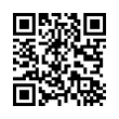 QR Code (код быстрого отклика)