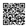 QR Code (код быстрого отклика)