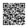 QR Code (код быстрого отклика)