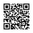 QR Code (код быстрого отклика)