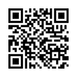 QR Code (код быстрого отклика)