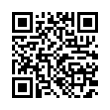 QR Code (код быстрого отклика)