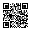 QR Code (код быстрого отклика)
