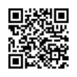 QR Code (код быстрого отклика)