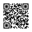 QR Code (код быстрого отклика)