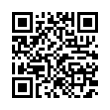 QR Code (код быстрого отклика)