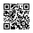 QR Code (код быстрого отклика)