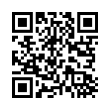 QR Code (код быстрого отклика)