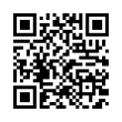 QR Code (код быстрого отклика)