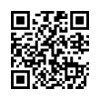 QR Code (код быстрого отклика)