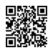 QR Code (код быстрого отклика)