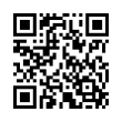 QR Code (код быстрого отклика)