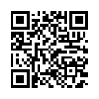 QR Code (код быстрого отклика)