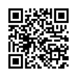 QR Code (код быстрого отклика)