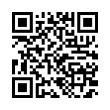 QR Code (код быстрого отклика)