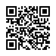 QR Code (код быстрого отклика)