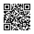 QR Code (код быстрого отклика)